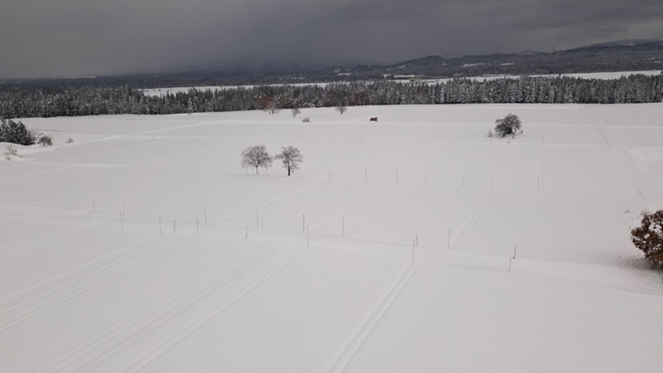 降雪１