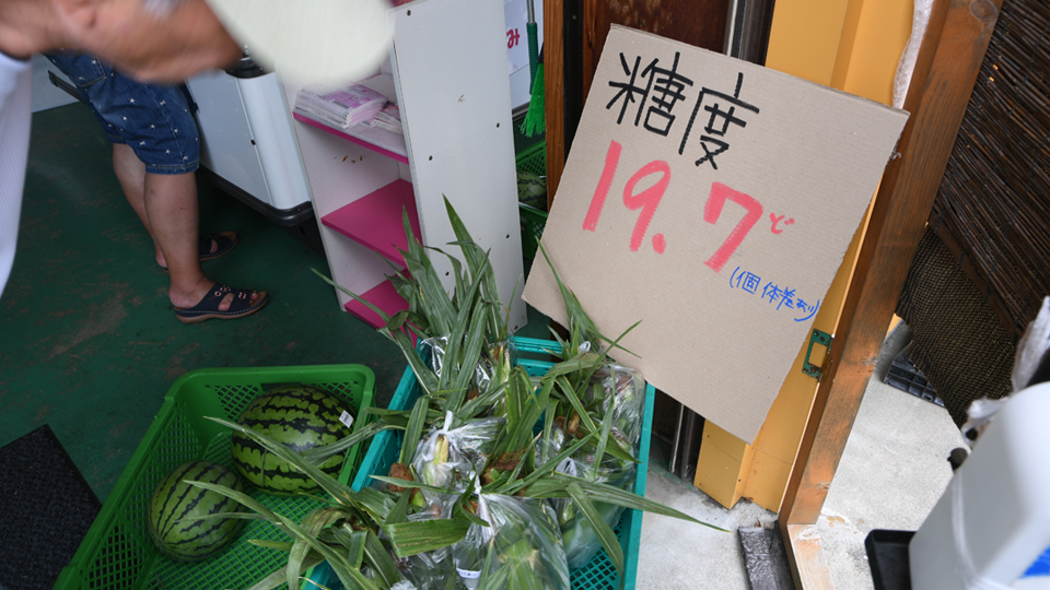 とうもろこし④