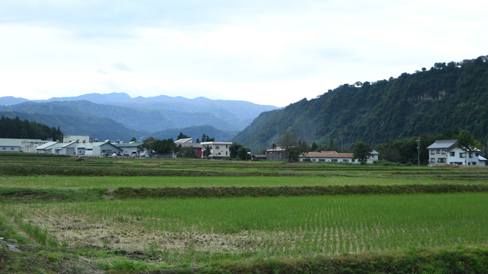 バターナッツかぼちゃ①