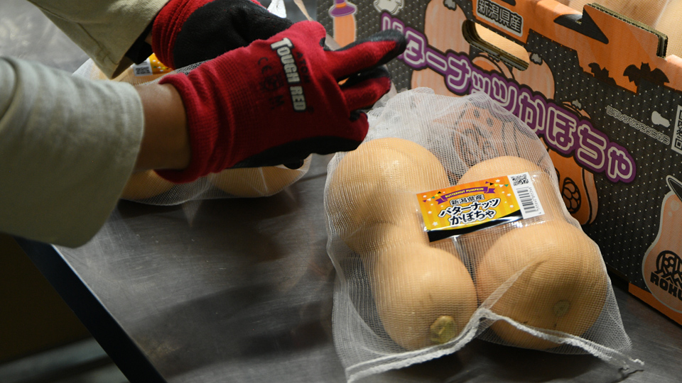 バターナッツかぼちゃ④