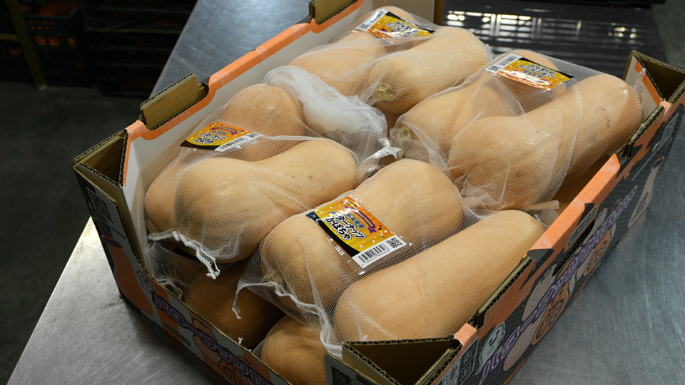 バターナッツかぼちゃ⑤