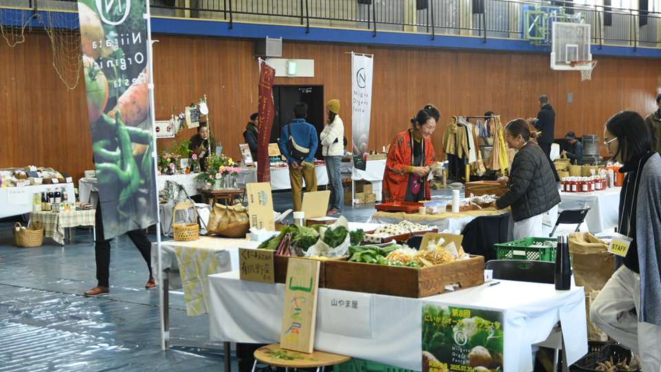 オーガニックビレッジ宣言④