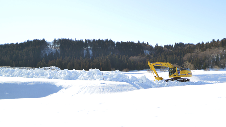 雪下にんじん畑除雪②