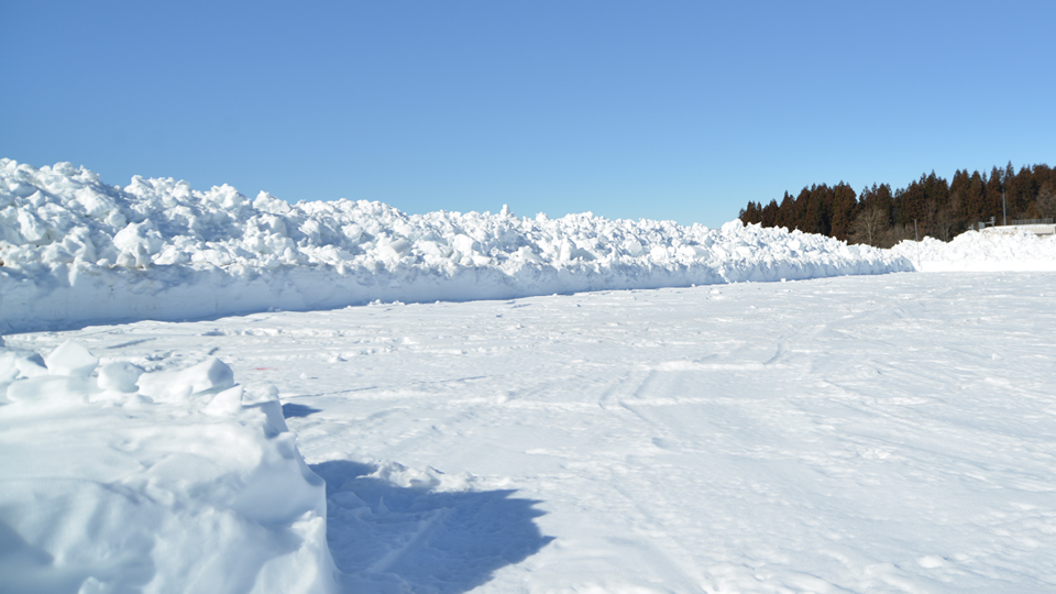 雪下にんじん畑除雪④
